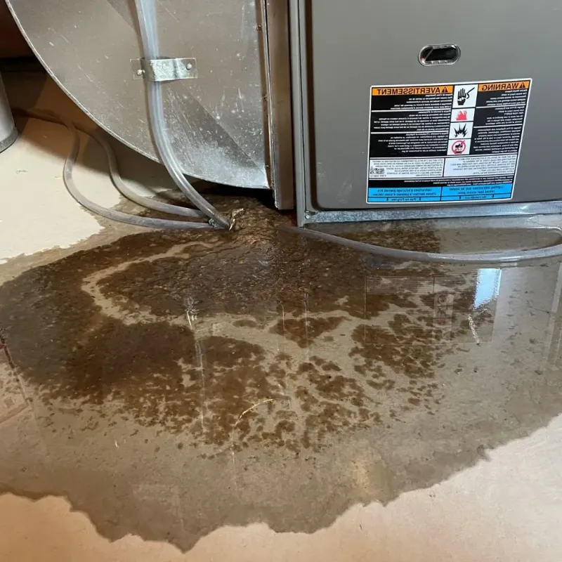 Pipe Burst and Leak Restoration in Cave Spring, GA