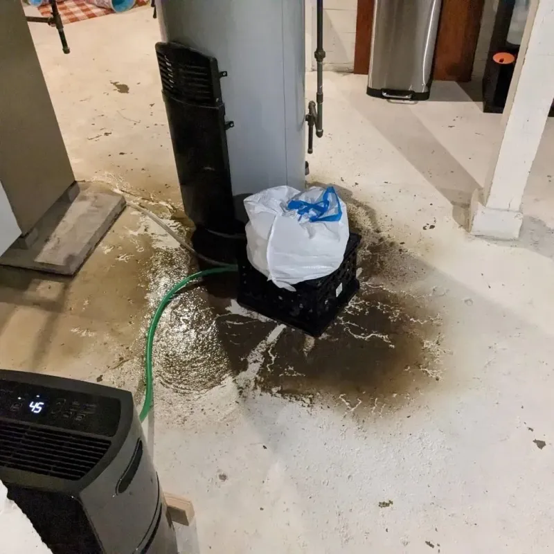 Sewage Backup Cleanup Service in Cave Spring, GA